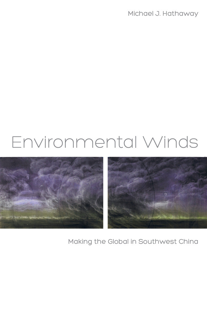 Cover image for Environmental Winds ISBN 9780520276208